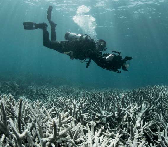 Protecting the future of our reef